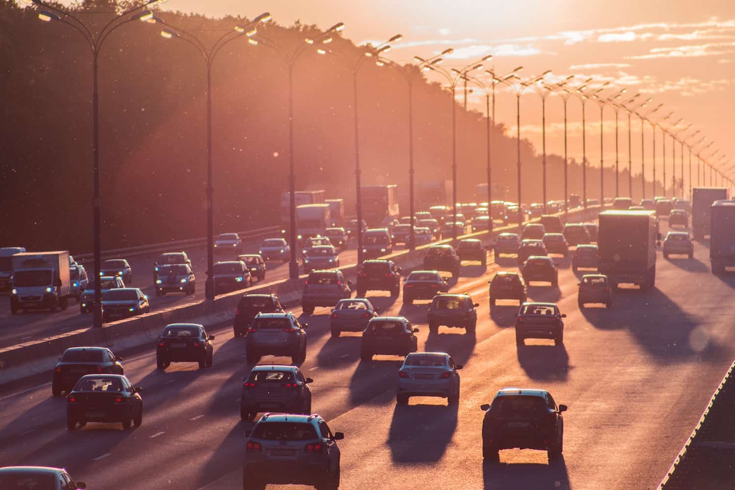 seo traffic
